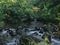 Small river in valley, fresh and beautiful