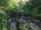 Small river in valley, fresh and nature