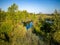 Small river winding its way through a tranquil countryside