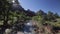 Small river it the Zion National Park