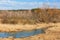 A small rivulet flows through a marshland overgrown with dry reeds and grass against the background of a dormant spring yellow