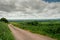 Small road and agricultural land in county Tipperary, Ireland. Irish rural landscape. Green grass fields and hills. Cloudy sky.