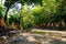 Small road with Buddha statues in Phrathat Chom Sin temple