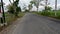 A small road that divides a beautiful rice field area