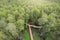 Small road through the melaleuca forests view from above