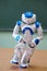 A small robot with a human face and a humanoid body. Blue-and-white robot.