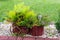 A small rockery in front of the house with plants, decorative pebbles and lamps powered by solar energy.