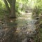 Small running river surrounded by trees grass and shrubbery