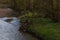 Small Running Stream With Stones On Surface And A Fallen Tree In A Valley In Manchester