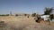 Small rural house at empty field in Jodhpur.