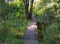 Small rustic wooden bridge