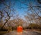 a small saffron temple in the jungle