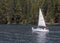 A Small Sailboat on Lake Tahoe