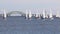 Small sailboats competing in a winter regatta with bridge in background