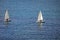 Small Sailing Boats .Isolated.