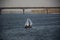 A small sailing yacht floats along the river, and in the background are two long bridges