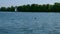 Small sailing yacht on river on summer day.