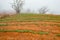 Small scale agriculture farms in the valley on a foggy day in Morogoro Town, Tanzania