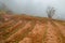 Small scale farms in the valley on a foggy day in Morogoro Town, Tanzania