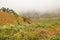 Small scale farms in the valley on a foggy day in Morogoro Town, Tanzania