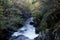 Small Scottish Highland River Swollen by Heavy Autumnal Rain