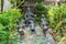 The small sculptural composition in the Park of Kopan monastery, Kathmandu, Nepal.