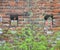 Small sculptures of two people looking from windows in brick wall of house in Torun, Poland