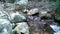 Small seasonal mountain watercourse. The water flows between the granite rocks and oleander plants