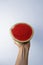 Small seedless watermelon on hand in a bright background