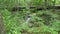 Small serene creek waterfalls in the woods - peace