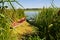 Small shabby and worn wooden fishing boats at a lake bank in backwater, swamp rich green vegetation