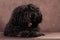 A small shaggy black-brown puli breed dog lies on a brown background and yawns