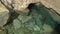 A small, shallow underground lake with clear, slightly turquoise water is the entrance to the Ordinskaya underwater cave - the lon