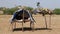 Small shelter for field workers at empty rural field in Jodhpur.