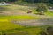 Small shelters in strawberry farm and rice field, Chiang Mai, Th