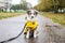 Small sheltie puppy sitting on pedestrian path with yellow rain coat jacket