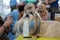 Small Shih-tzu dog, ornament bow in hair, getting prepared and groomed at dog show competition