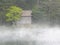 Small Shinto Shrine in Kyushu