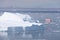 Small ship cruising among ice bergs during beautiful summer day. Disko Bay, Greenland.