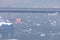 Small ship cruising among ice bergs during beautiful summer day. Disko Bay, Greenland.