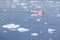 Small ship cruising among ice bergs during beautiful summer day. Disko Bay, Greenland