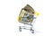 Small shopping cart filled with Dollars cash. Dollars in yellow shopping trolley. Concept of spending and shopping