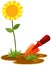 Small shovel with sunflower