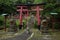 Small shrine of frogs at the Fushimi Inari Shrine