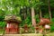 Small shrines in forest, Tanzan Jinja Shrine grounds, Nara, Japan