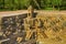 Small shrines and steps to reach the bottom of the reservoir, of the Sun Temple. Modhera village of Mehsana district, Gujarat