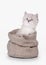 Small siberian kitten in sackcloth bag
