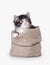 Small siberian kitten in sackcloth bag
