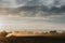 Small silhouette of combine harvester hidden in the clouds of dust in the distance, who is harvesting the crop of oilseed rape