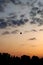 Small silhouette of a hot air balloon on the background of dawn. Vertical photo of the sky with clouds